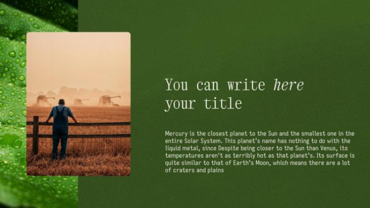 Environmental Education presentation template 