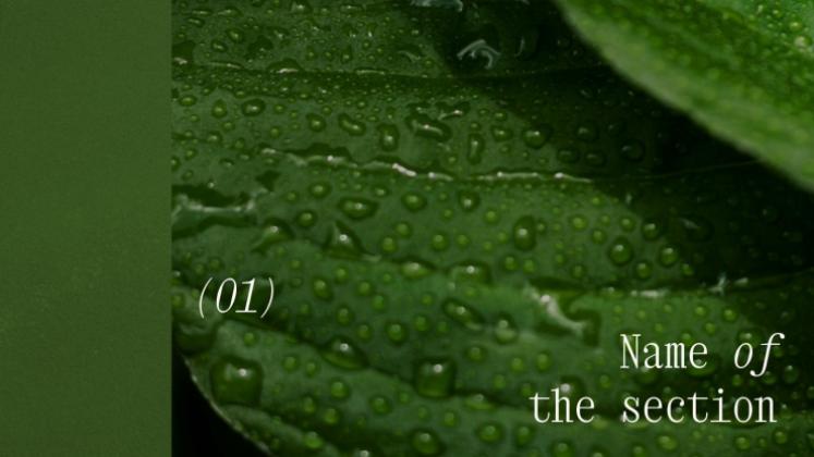 Environmental Education presentation template 