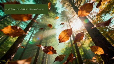 Environmental Education presentation template 