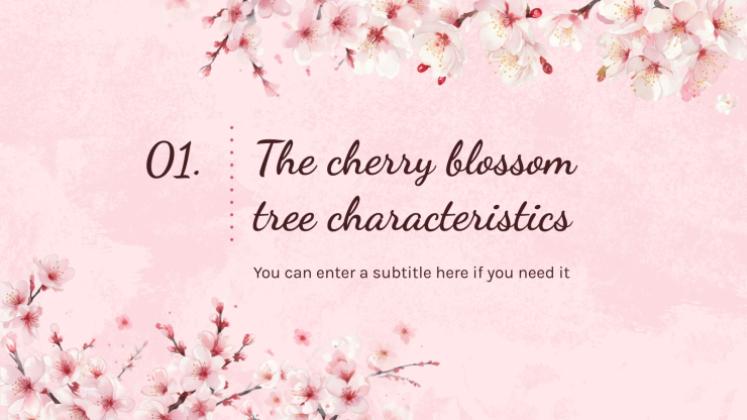 Cherry Blossom Season presentation template 