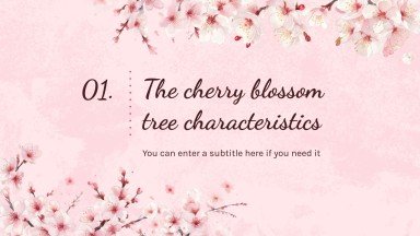 Cherry Blossom Season presentation template 