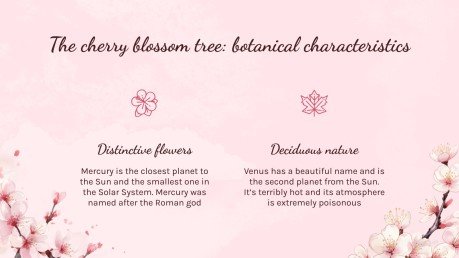 Cherry Blossom Season presentation template 