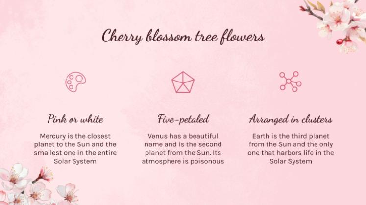 Cherry Blossom Season presentation template 