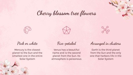 Cherry Blossom Season presentation template 