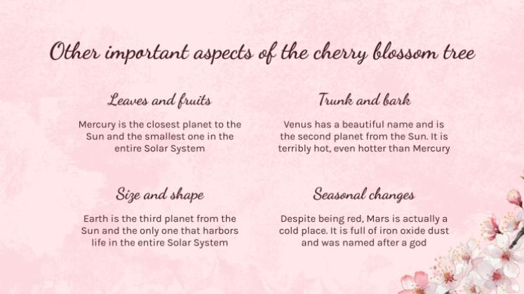 Cherry Blossom Season presentation template 