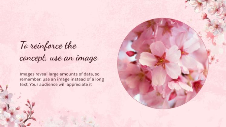 Cherry Blossom Season presentation template 