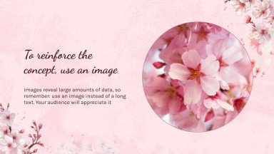 Cherry Blossom Season presentation template 