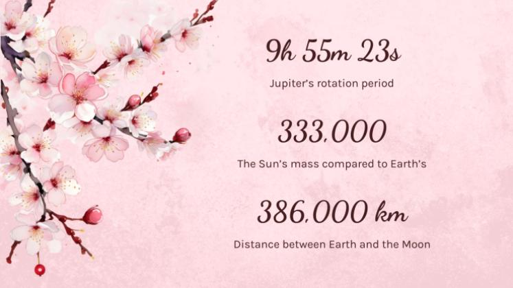 Cherry Blossom Season presentation template 