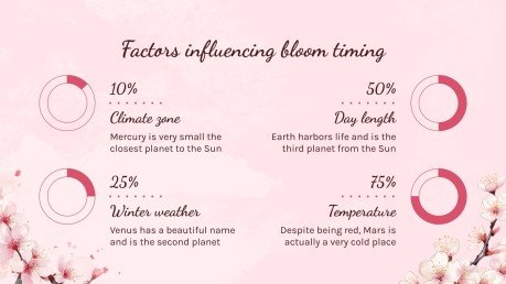 Cherry Blossom Season presentation template 