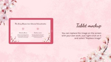 Cherry Blossom Season presentation template 