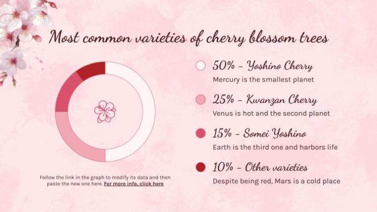 Cherry Blossom Season presentation template 