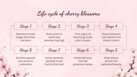 Cherry Blossom Season presentation template 