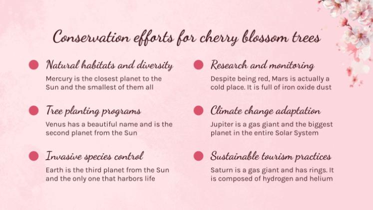 Cherry Blossom Season presentation template 
