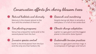Cherry Blossom Season presentation template 