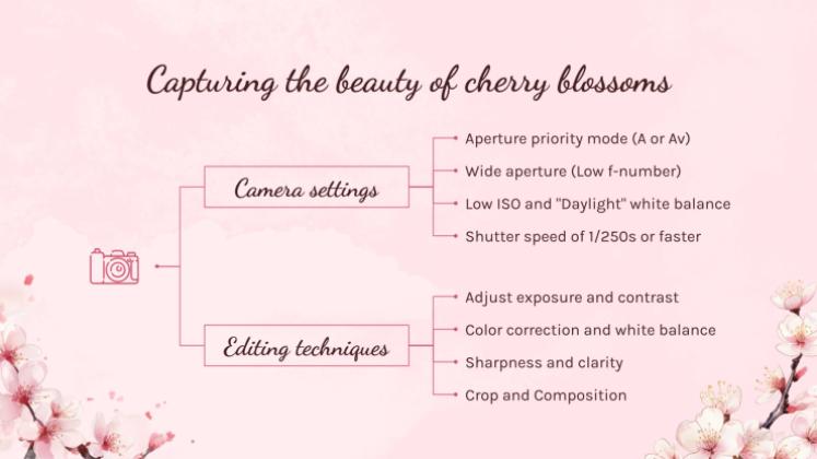 Cherry Blossom Season presentation template 