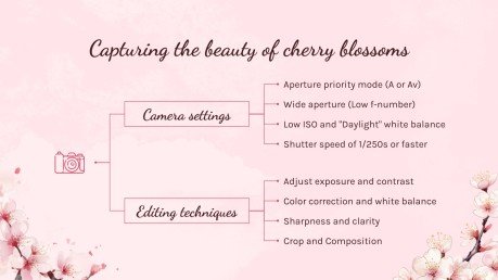 Cherry Blossom Season presentation template 