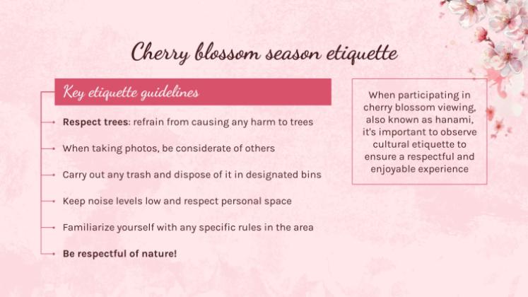 Cherry Blossom Season presentation template 