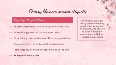 Cherry Blossom Season presentation template 