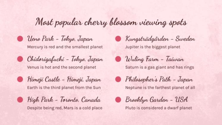 Cherry Blossom Season presentation template 