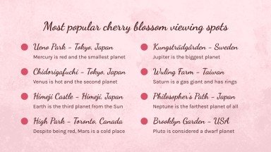 Cherry Blossom Season presentation template 