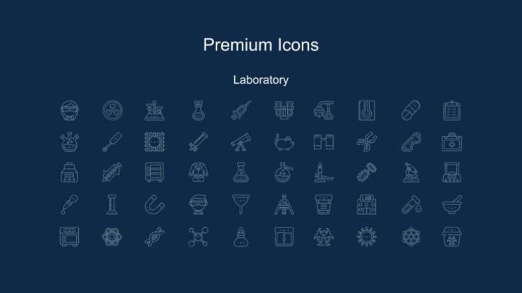 Cherry Blossom Season presentation template 