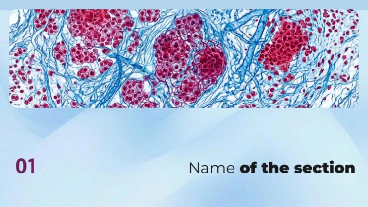 Plantilla de presentación Cáncer de pulmón