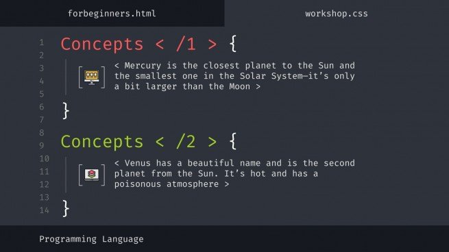 Programming Language Workshop for Beginners