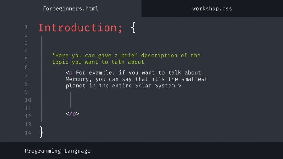 Programming Language Workshop for Beginners