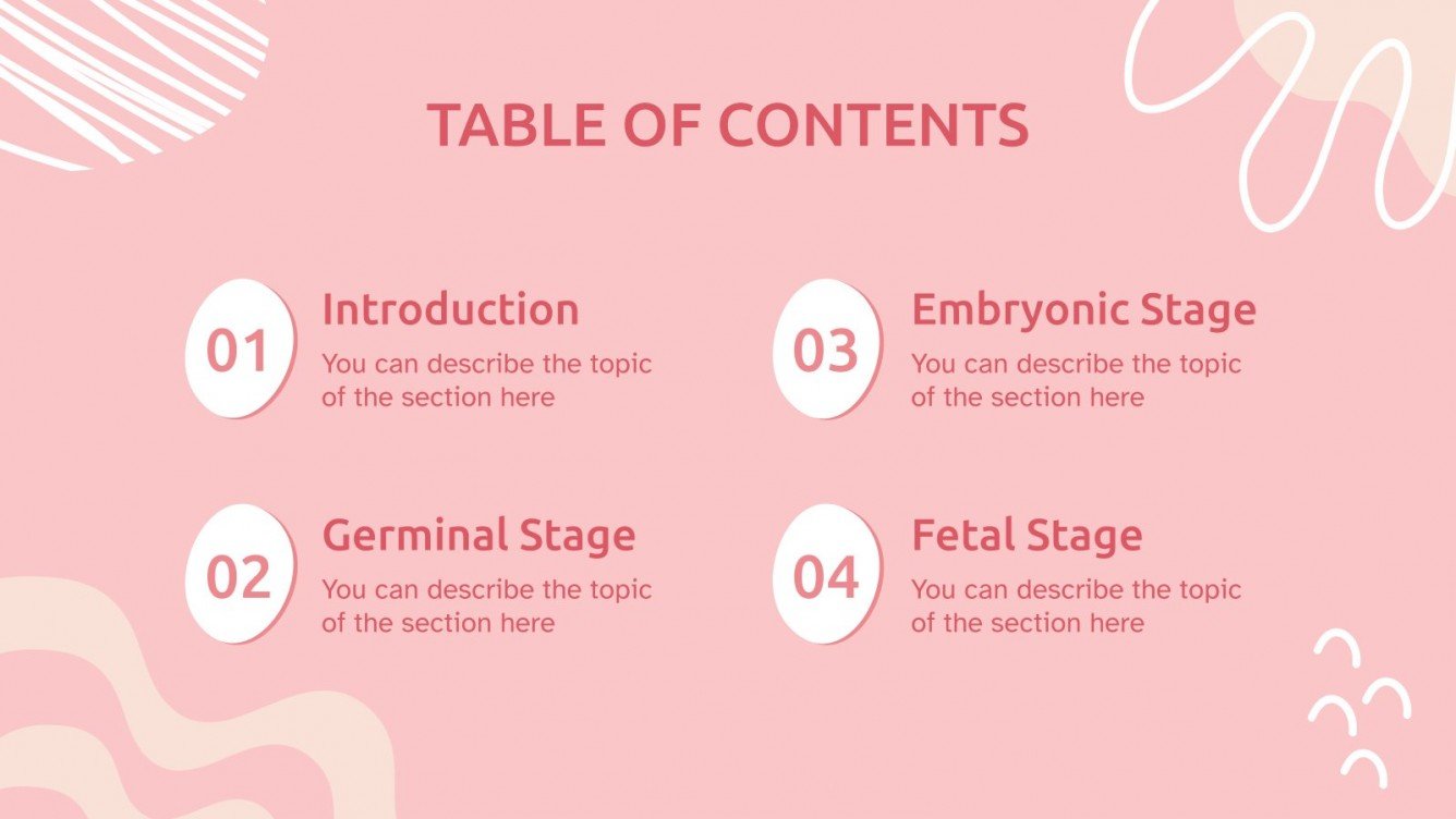 Stages Of Development Of The Fetus Google Slides Ppt Stages Of Development Of The Fetus Google Slides Ppt