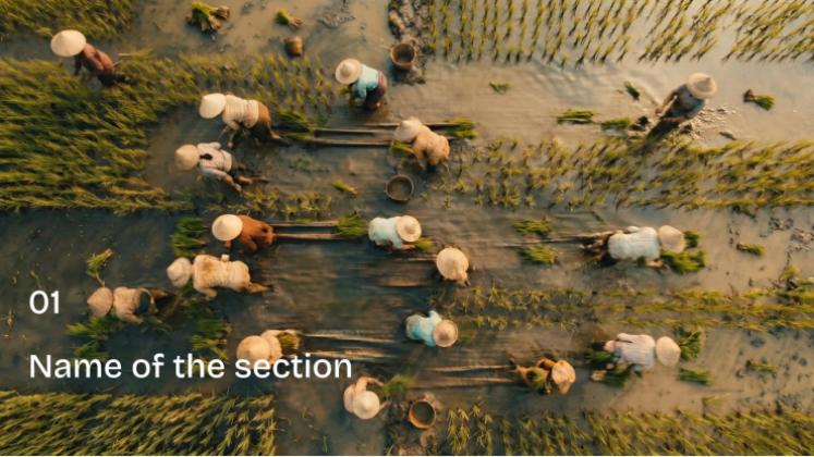 Modelo de apresentação Infográfico sobre agricultura