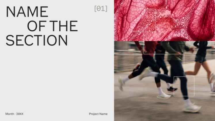 Sport Nutrition Hub presentation template 