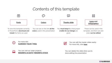 Influencer Marketing Portfolio presentation template 