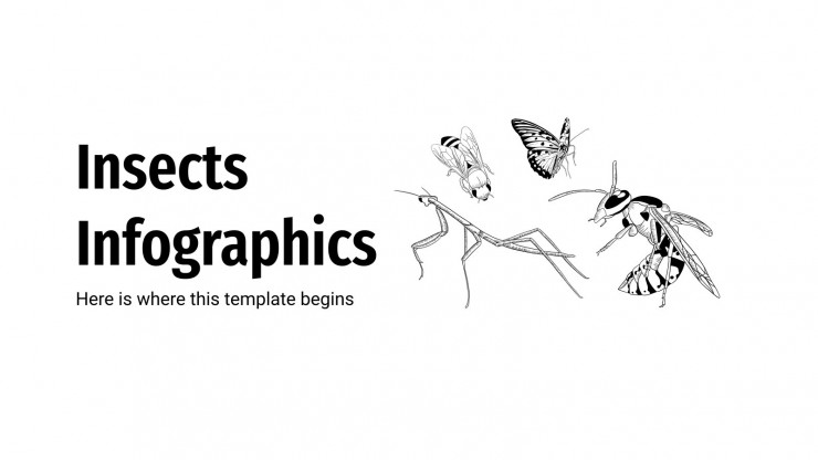 Insects Infographics | Google Slides & PowerPoint Template