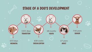 How to Train Your Puppy presentation template