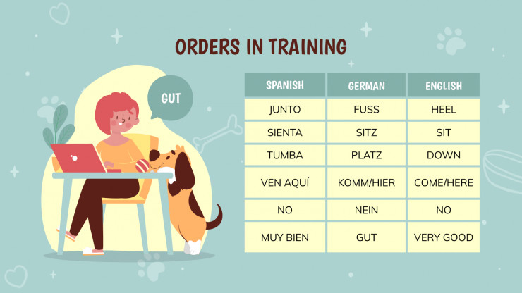 Comment dresser votre chiot : Modèles de présentation