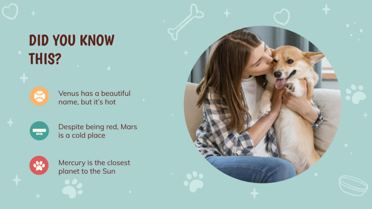 Comment dresser votre chiot : Modèles de présentation