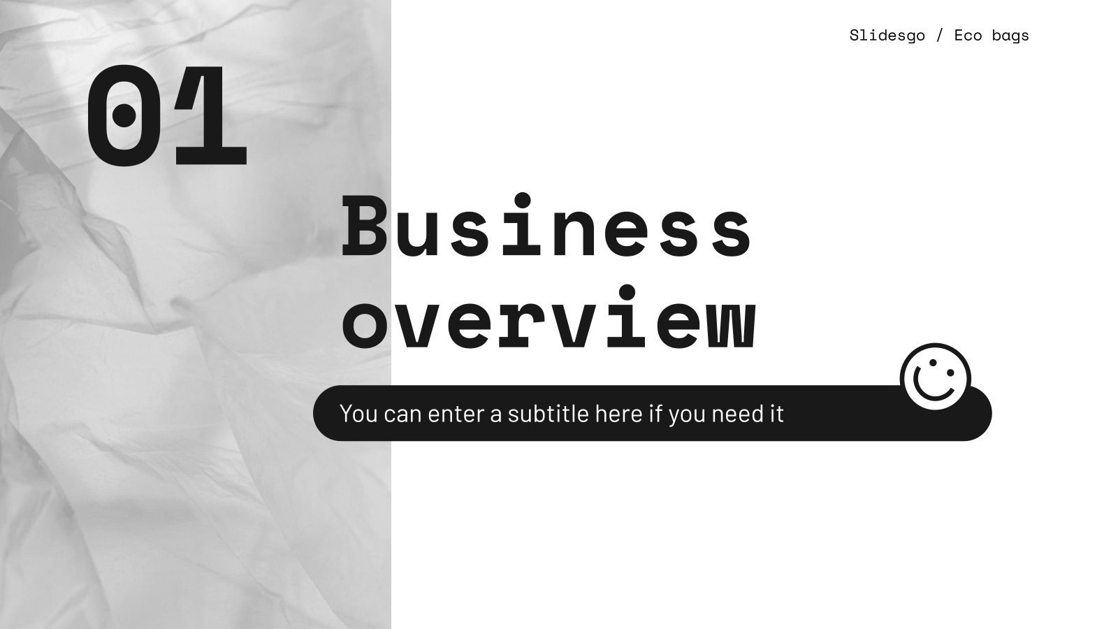 Biodegradable Plastic Bags Business Plan Google Slides PPT