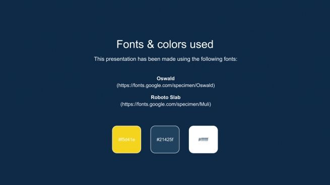 Political Party Campaign presentation template