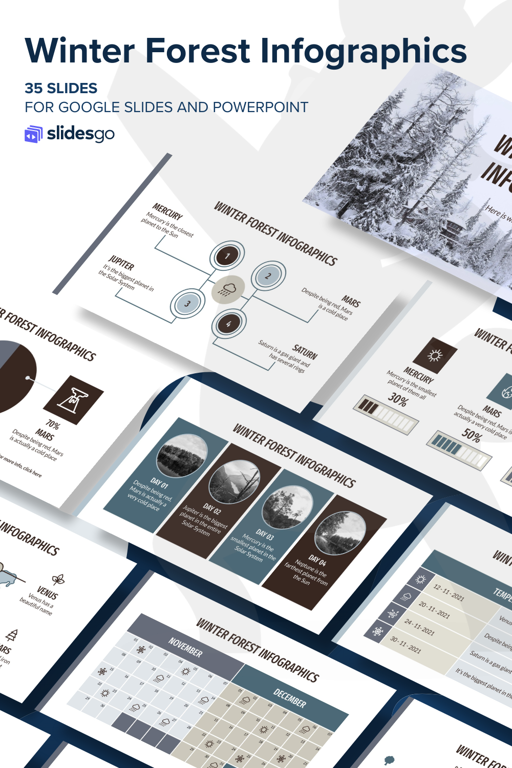Winter Forest Infographics | Google Slides & PowerPoint