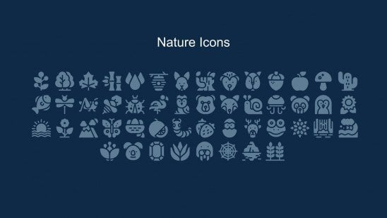 Natural Elements Inspired This Wallpaper