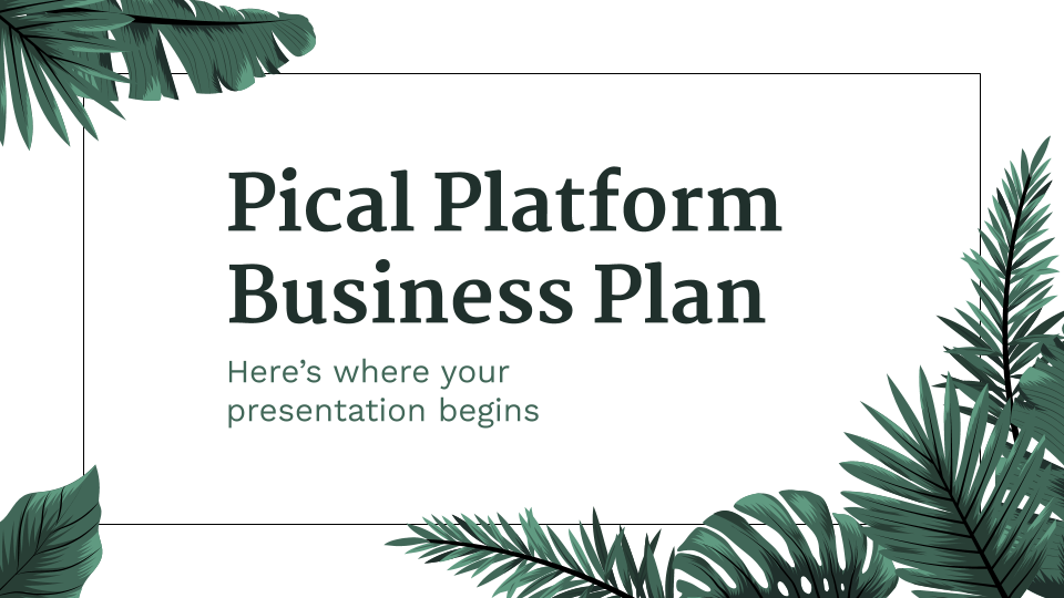 Pical Platform Business Plan presentation template 