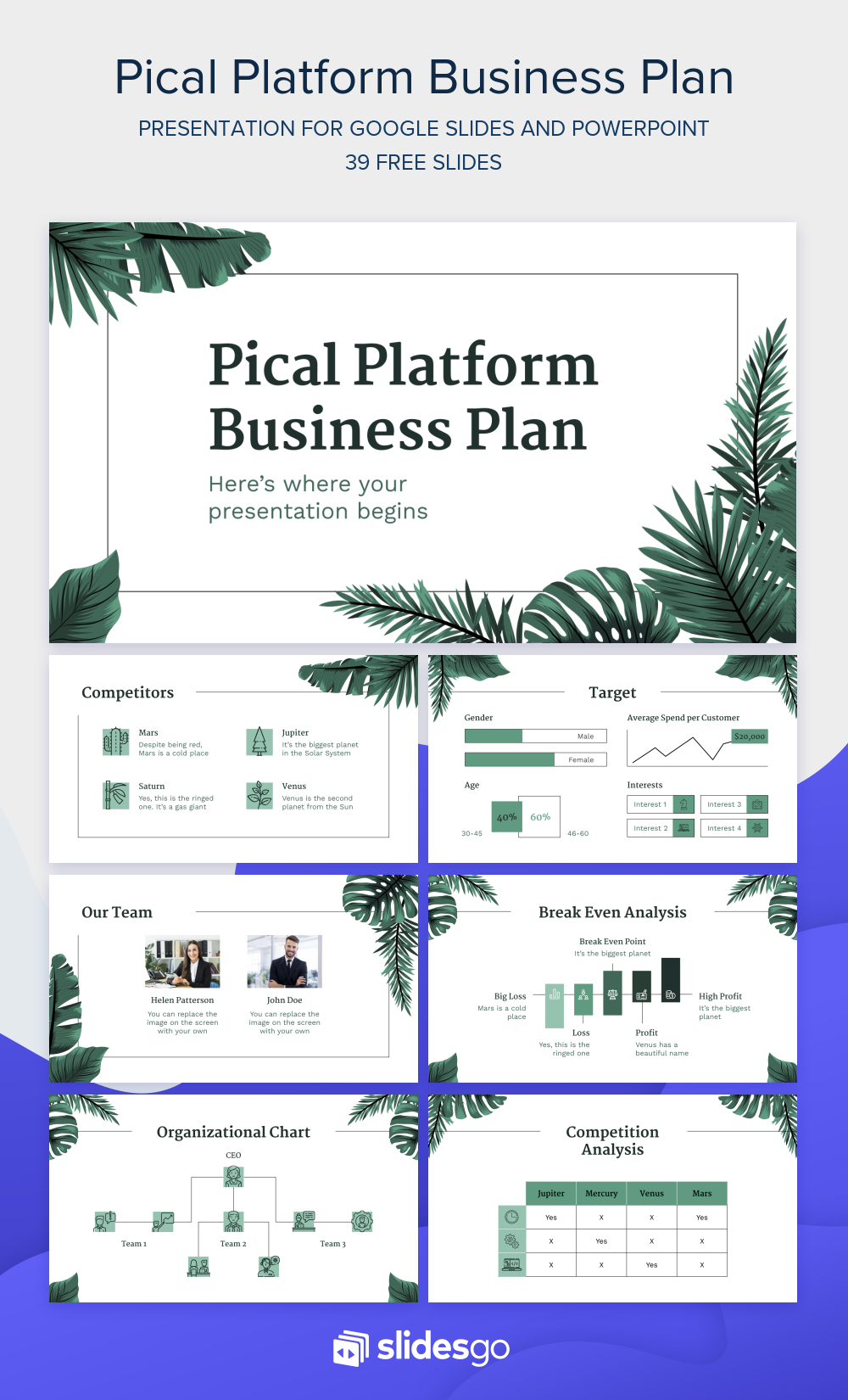 Platform business plan picture