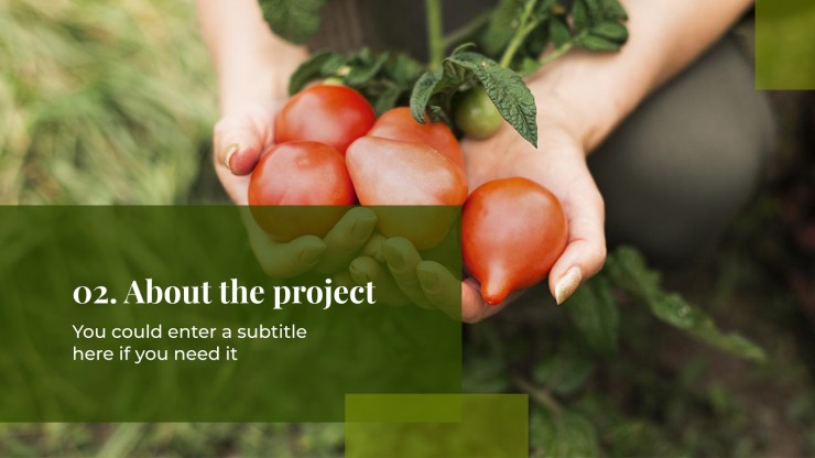 Proposition de projet d’agriculture durable : Modèles de présentation