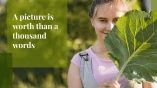 Sustainable Agriculture Project Proposal presentation template