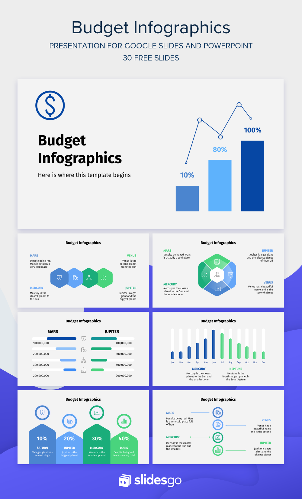 Budget Infographics Google Slides and PowerPoint template