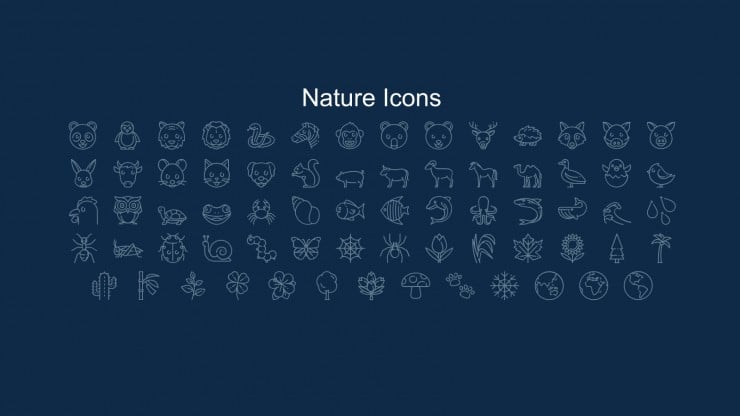 Zodiac Signs presentation template