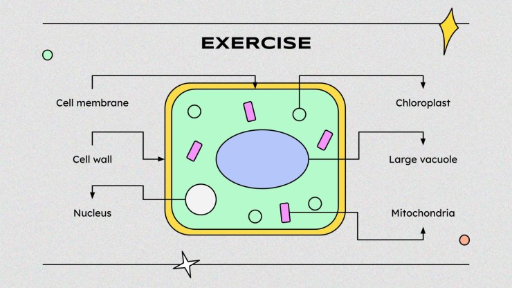 Wissenschaft für die höhere Schule: Zelluläre Prozesse Präsentationsvorlage