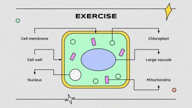 Wissenschaft für die höhere Schule: Zelluläre Prozesse Präsentationsvorlage