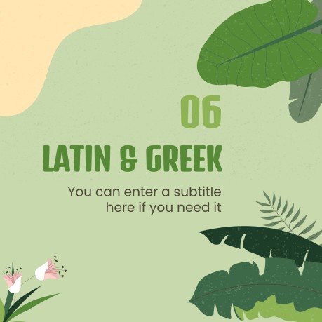 Plantilla de presentación Clase de inglés para primaria