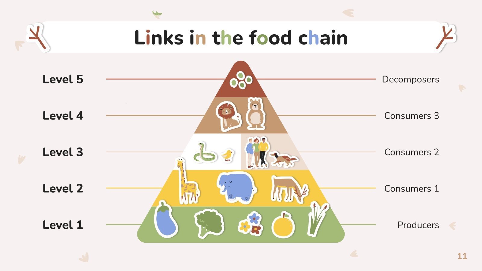 Biology Subject for Pre-K: Food Chain Biology Diagrams